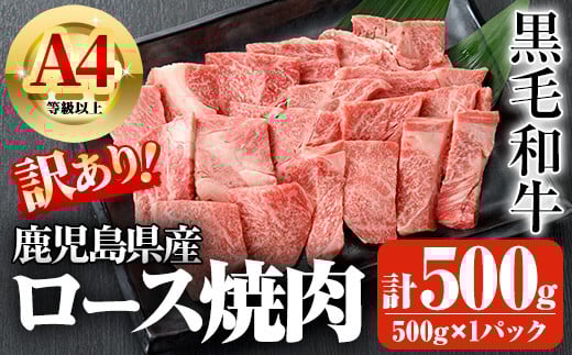 鹿児島県産A4等級以上黒毛和牛・ロース不揃い切り落とし焼肉 計500g(500g×1パック) 鹿児島県産 黒毛和牛 切り落とし【ビーフ倉薗】A521