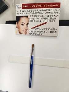 熊野化粧筆 ベーシックセット II(軸色：青)【メイクブラシ 化粧筆 フェイスブラシ チークブラシ アイシャドウブラシ 熊野筆 伝統工芸 職人技 高級筆 セット ギフト 贈り物】 21-40