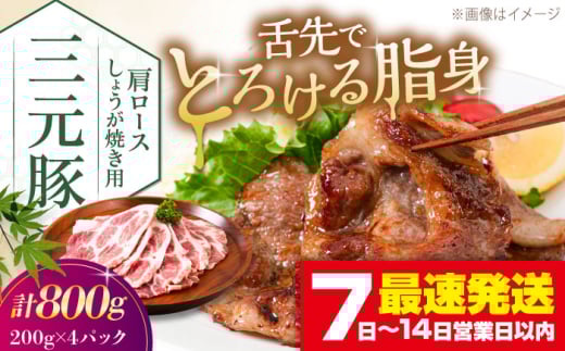 平田牧場 肩ロース しょうが焼き用 800g (200g×4P) 《喜茂別町》【平田牧場】肉 豚肉 ロース 生姜焼き スライス 冷凍 冷凍配送 北海道 三元豚 [AJAP130] 16000 16000円