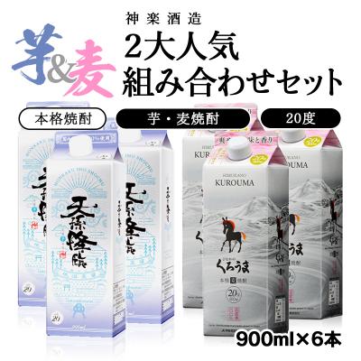 ふるさと納税 西都市 神楽酒造　2大人気組み合わせセット「くろうま」「天孫降臨」[2212]