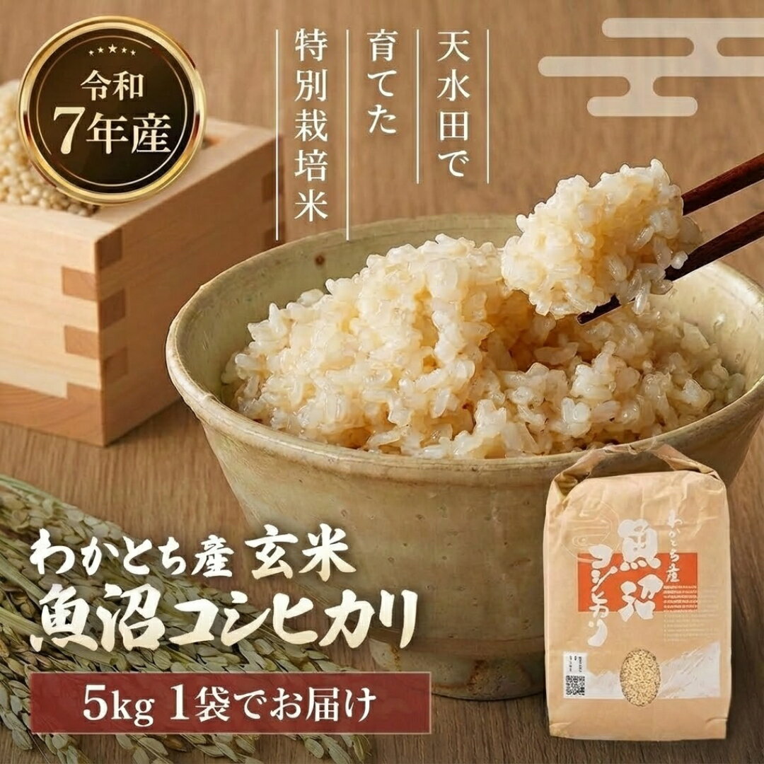 【ふるさと納税】【令和7年産 新米予約】 わかとち産 魚沼コシヒカリ特別栽培 棚田米 玄米5kg 新潟県 小千谷市 先行予約【0013-0002-01】