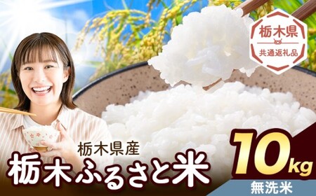 無洗米 10kg 便利な栃木ふるさと米 《7-14日以内に出荷予定(土日祝除く)》おこめ【栃木県共通返礼品】
