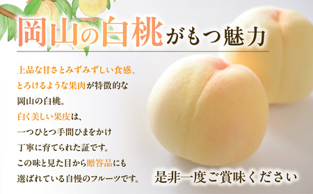 【2026年発送分　先行受付開始！】びぜん白桃　早生4品種のうち1品種　約4kg（令和8年6月下旬～7月上旬頃発送）【岡山県備前市産 早生 4品種のうち1品種 約４kg （１５～１８玉目安）】