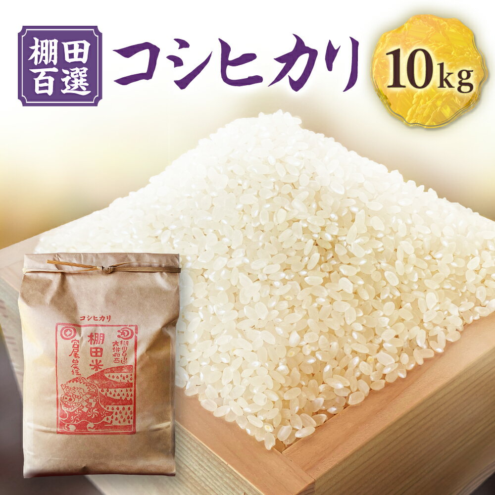 【ふるさと納税】★令和6年 新嘗祭 献納農家が作ったお米★ 棚田百選 大垪和西棚田米 10kg コシヒカリ 令和7年産 精米 棚田米 米 お米 白米 10キロ 岡山県 美咲町 送料無料