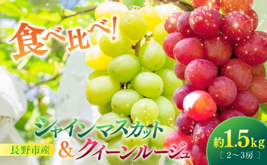 
                  【セット】シャインマスカット＆クイーンルージュ(R) 1.5kg 2-3房 |  シャインマスカット クイーンルージュ ぶどう フルーツ 果物 セット 食べ比べ  人気 おすすめ ギフト プレゼント 送料無料 長野県 長野市 信州 信濃 ふるさと納税
                