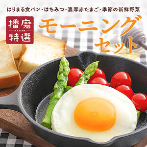 モーニングセット 播磨特選 パン 卵 野菜 モーニングセット