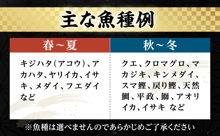 【お中元対象】【厳選】 壱岐島 刺身セット 3～4人前 （60g×6パック） 《壱岐市》【あかりや】 お刺身 刺し盛り 刺盛り 鮮魚 海鮮 海鮮丼 お造り 小分け タイ マグロ カツオ [JFO001