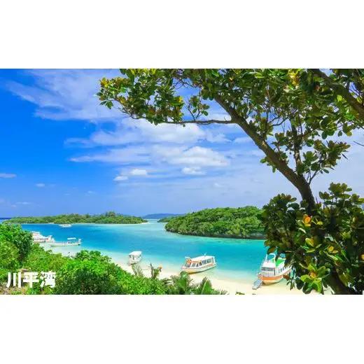 【石垣市】しろくまツアーで利用可能なWEB旅行クーポン (15,000円分)WB-5