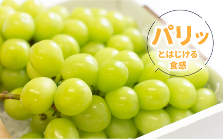 【2026年発送★先行予約】【土日祝配送】産地厳選シャインマスカット1.2kg～1.3kg（2房～3房）※沖縄・離島配送不可※ 106-003-sku02-26y シャインマスカット 発送 笛吹市 山