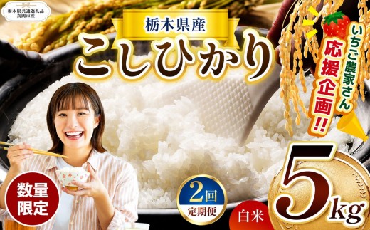 【定期2回】数量 限定 訳あり 定期便 令和8年度 栃木県産 コシヒカリ 約 5kg | 数量限定 こしひかり  精米 白米 米 ごはん おいしい  密閉パック ふるさと納税 那珂川町 栃木県【栃木県共通返礼品】