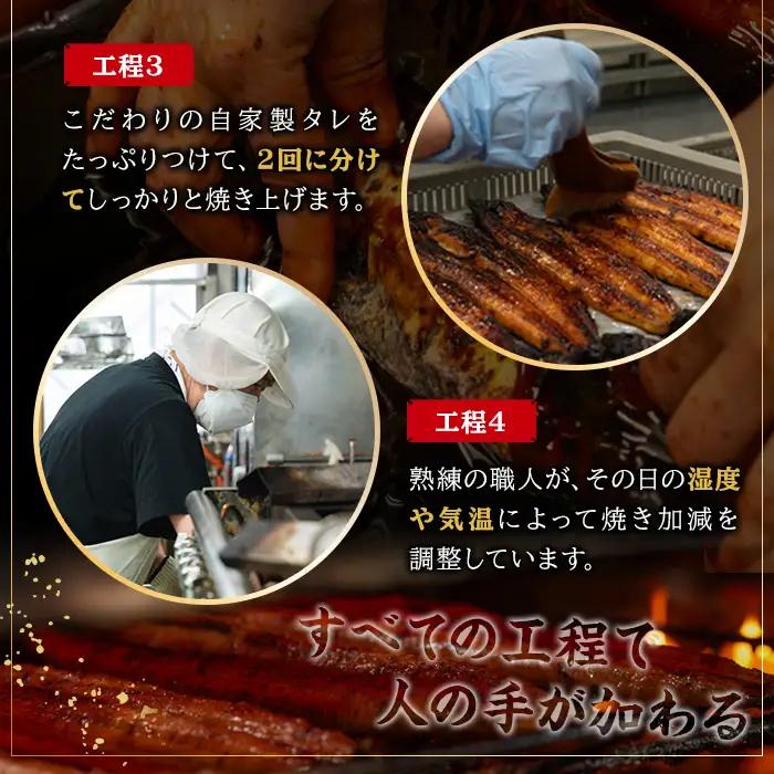 鹿児島県産 うなぎ 蒲焼・白焼き 食べ比べ 各2尾 うなぎ【00-025-11】
