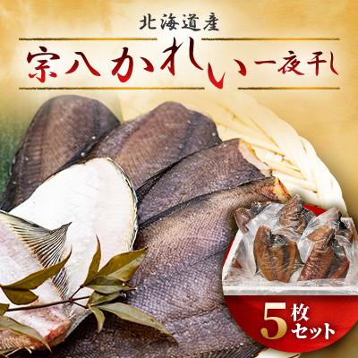 ふるさと納税 様似町 【丸富水産】宗八かれい 一夜干し 5枚(1kg)