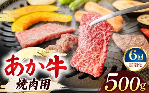 【 定期便6回 】あか牛 焼肉用 500g | 熊本県 熊本 くまもと 和水町 なごみ 牛肉 おまかせ 日本原産 国内肥育 冷凍