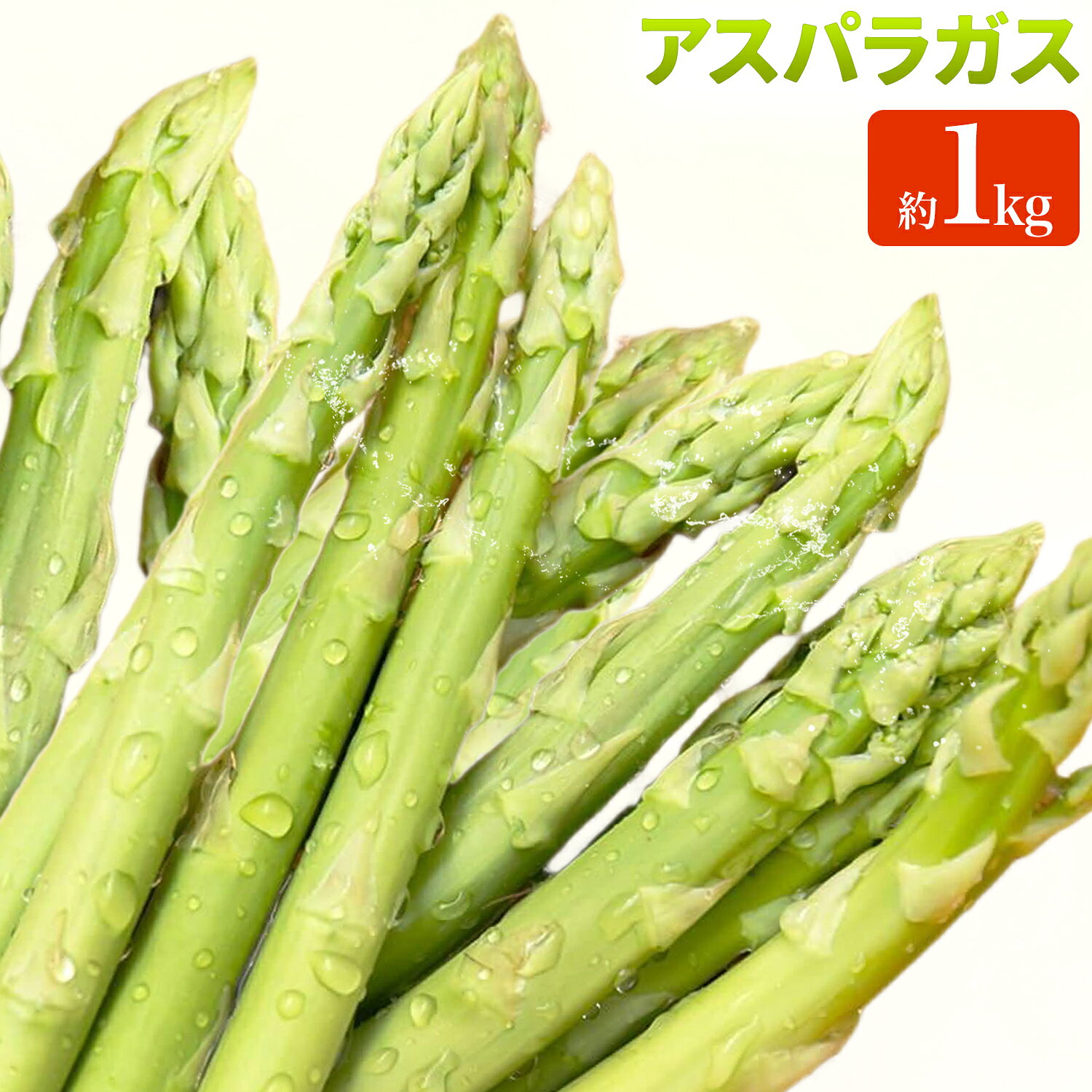 【ふるさと納税】アスパラガス 約1kg 松金農園《2月上旬～3月下旬》 鹿児島県 さつま町 野菜 やさい サラダ 料理