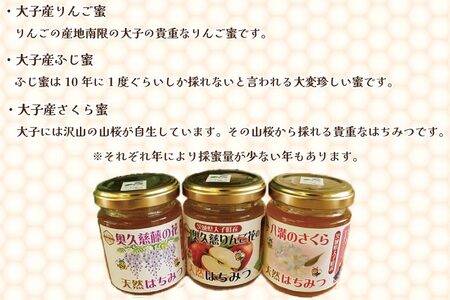 【先行予約】天然はちみつ 味くらべ3種セット 120g×3本 【藤の花・りんご花・さくら】（BG001）