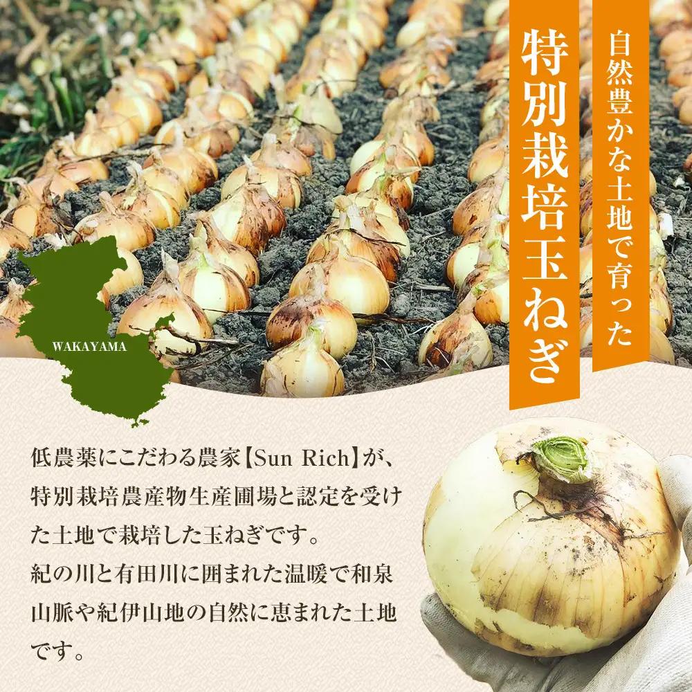 ［2026年発送分・先行予約］農家さん直送 低農薬玉ねぎ 2Lサイズ以上 10kg程度［4月中旬～7月中旬頃発送予定］［KF15］