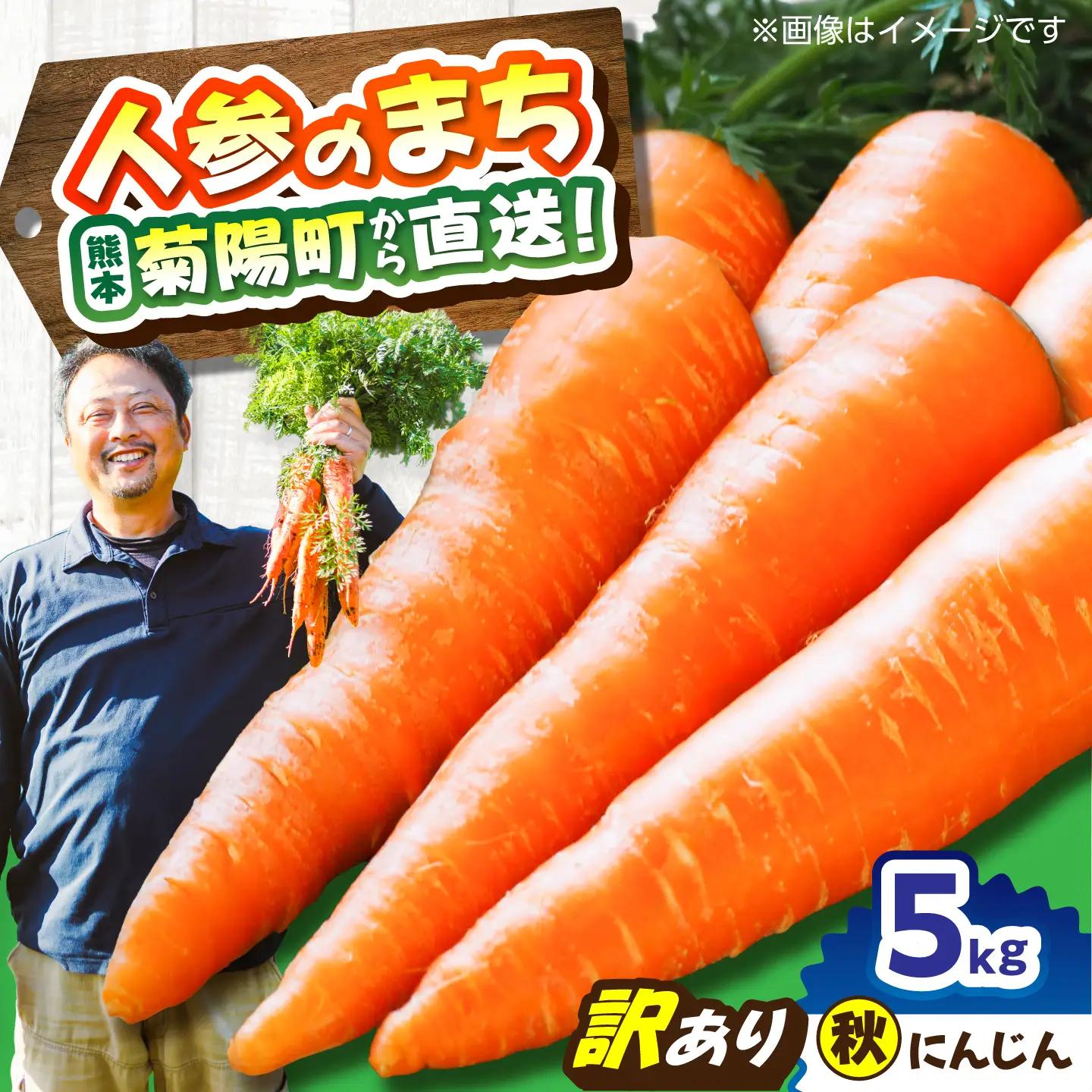 【先行予約】【12月中旬より順次発送】【訳あり】菊陽秋冬にんじん 約5kg (訳あり) / にんじん 菊陽にんじん 西洋にんじん ニンジン 人参 野菜 熊本 菊陽 わけあり 【マツモト：ファーム】[BHDH011]