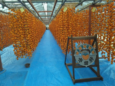 【数量限定】年内発送 市田柿 1kg 家庭用