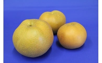0010-006 富士見市産の梨（彩玉）【オンライン決済限定】