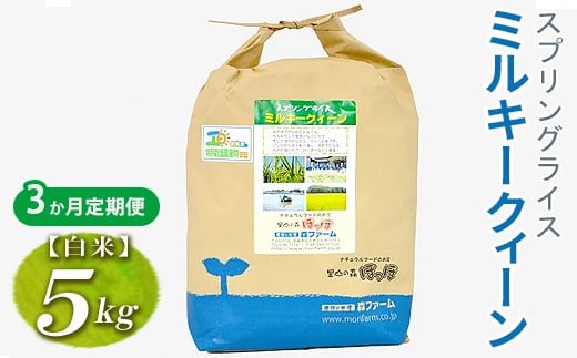 
                  【定期便3か月】令和7年産 3か月毎月届く！スプリングライス ミルキークィーン (白米) 5kg | 定期便 こめ 米 コメ 白米 白飯 精米  茨城県産 国産 茨城県 古河市  こだわり おいしい 2025年産 _FN20
                