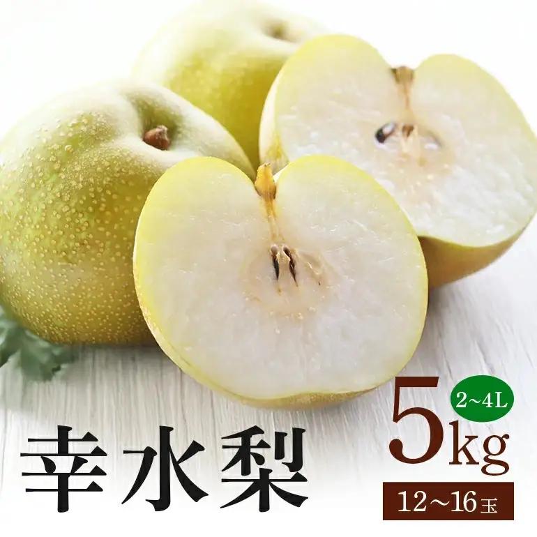 幸水梨 箱込約 5kg（JA新ひたち野）梨 約 12玉 ～ 16玉 (B01-009)