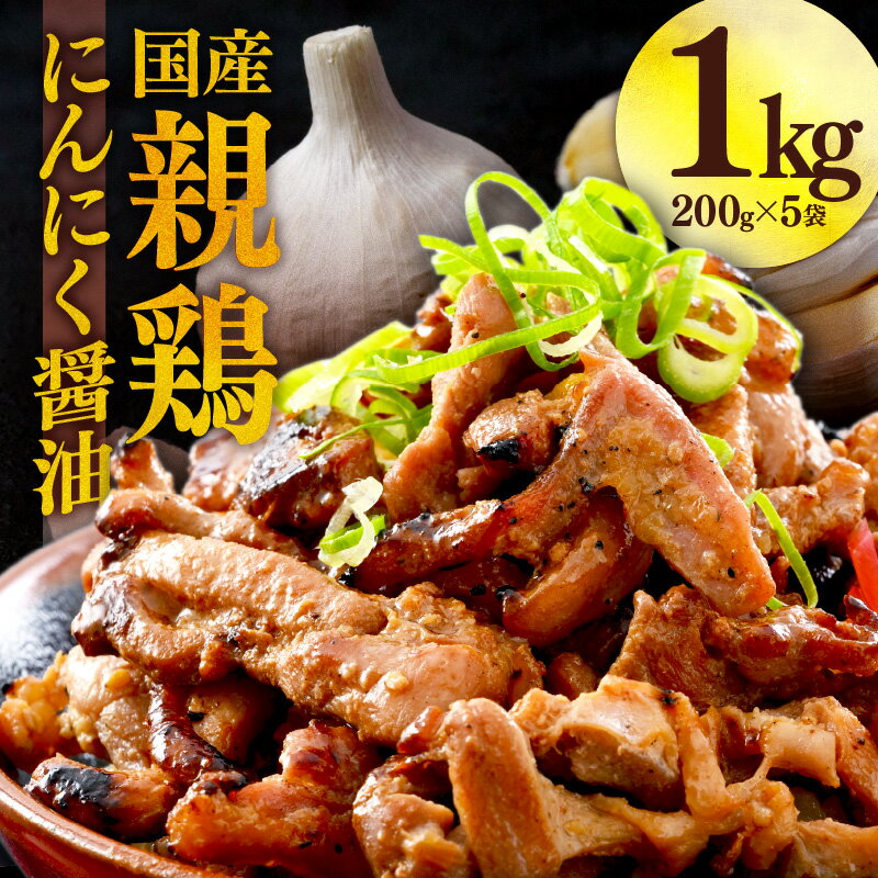 【ふるさと納税】国産 親鳥 200g×5袋（計1kg）約8～10人前 ／ にんにく醤油味 味付け肉 鶏肉 小分け 焼肉 バーベキュー 冷凍 福井のソウルフード 福井 焼き鳥 焼鳥 人気 アウトドア やみつき