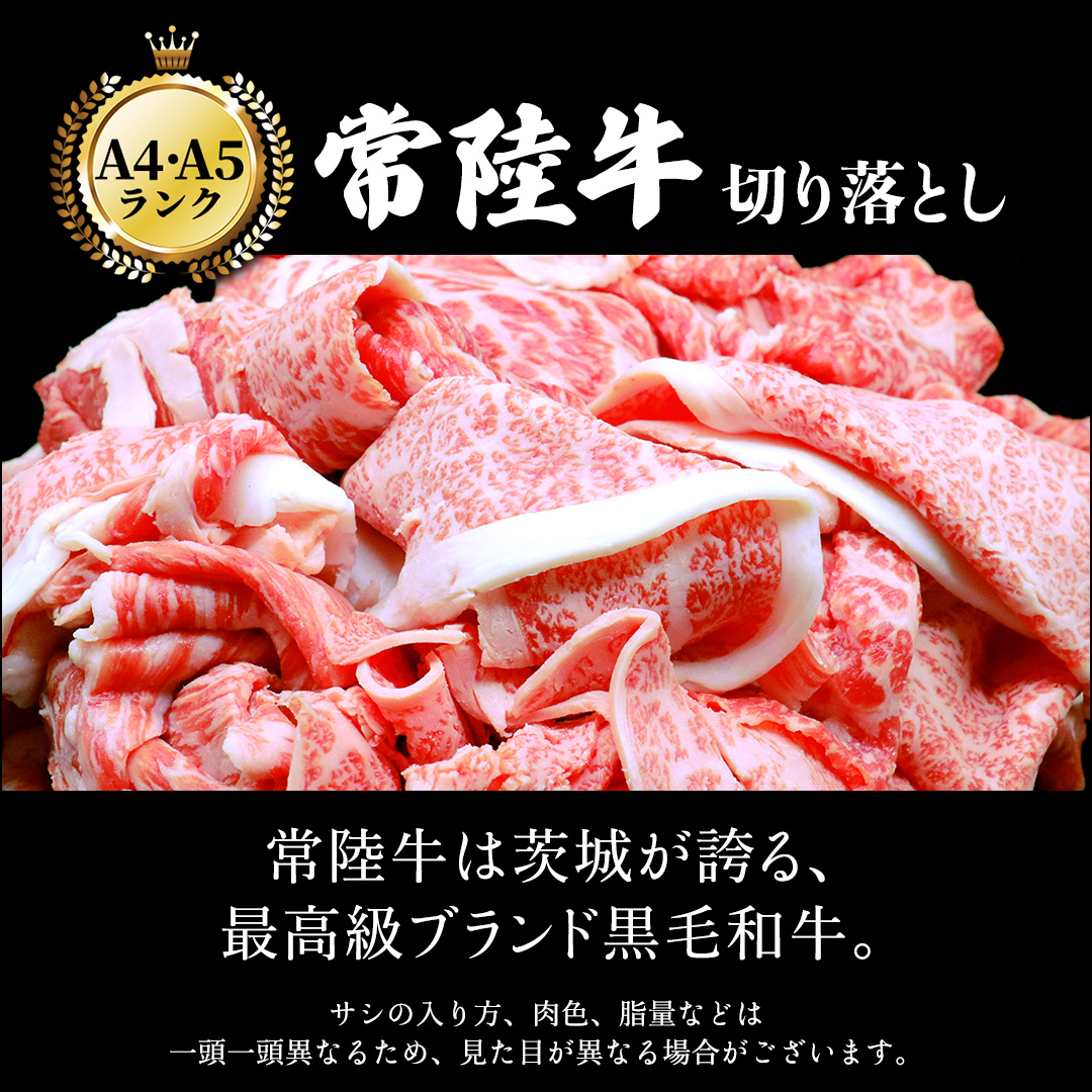 【 常陸牛 】 切り落とし 1kg ( 500g × 2パック ) 牛肉 国産 牛 肉 切り落とし肉 切落し 小分け お肉 A4 A5 ブランド牛 黒毛和牛 和牛 国産黒毛和牛 国産牛 すき焼き すき