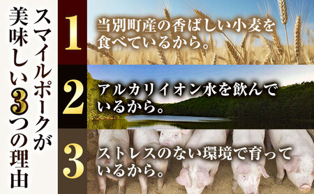 [3-314]　浅野農場ギフトセット ベーコン ソーセージ ウインナー 豚肉 3ヶ月定期便
