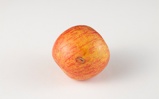 FYN9-913 【農業者支援】 加工用 山形県産 品種おまかせ りんご 約5kg くだもの フルーツ 林檎 リンゴ アップル 秋果実 生産者支援 農業者支援 支援品 自宅用 家庭用 訳アリ ワケアリ