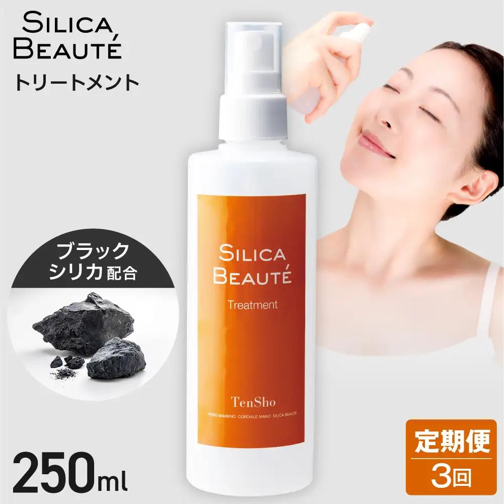 【3ヶ月定期便】シリカボーテ　トリートメント250mL | 化粧水トリートメント保湿 スキンケア 美容 北海道 札幌市