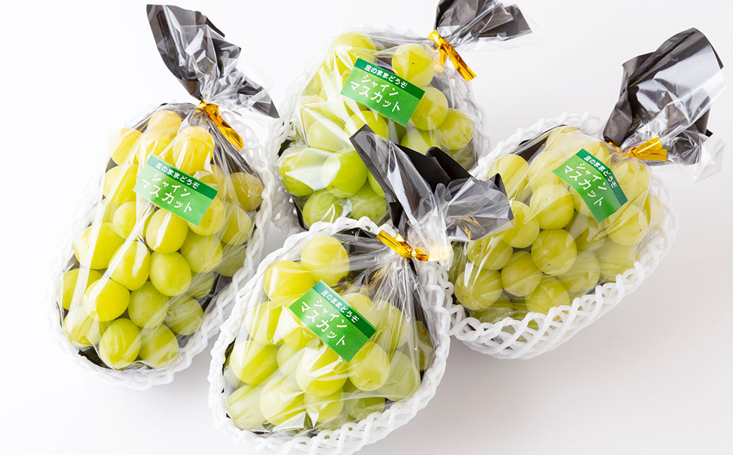 シャインマスカット 3房～5房