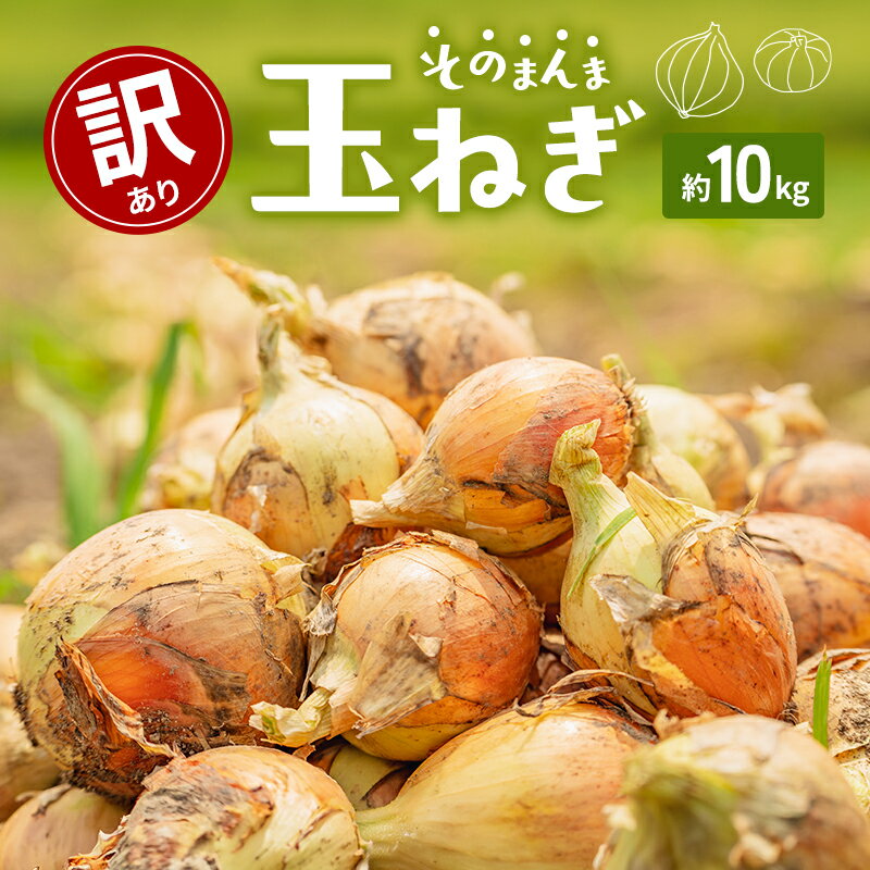 【ふるさと納税】訳ありそのまんま玉ねぎ　約10kg　お届け：2026年5月中旬～6月末まで