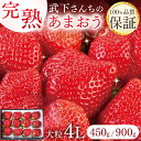 【ふるさと納税】[ 先行予約 ] まるで宝石！希少な超大粒4Lサイズ！武下さんちの「完熟あまおう」【450g・900g】 あまおう いちご 食べ物 お取り寄せ グルメ ご当地 大川市 甘い イチゴ 苺 高級 フルーツ プレゼント ギフト 贈り物 産直 産地直送 【2025年1月～4月納品分】