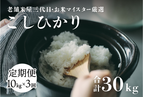 年内特別価格！【定期便】（3ヶ月連続お届け）令和6年産 コシヒカリ　10kg×3回　計 30kg