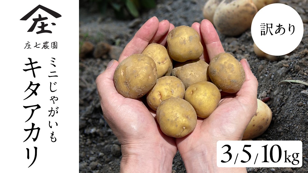 
            【訳あり】ミニ ジャガイモ ( キタアカリ )  3kg 5kg 10kg 田んぼで作ったころころジャガイモ 新じゃが じゃがいも ジャガイモ 北あかり 芋 大容量 家庭用 小粒 野菜 根菜 産地直送 新鮮 5000円 6000円 8000円
          