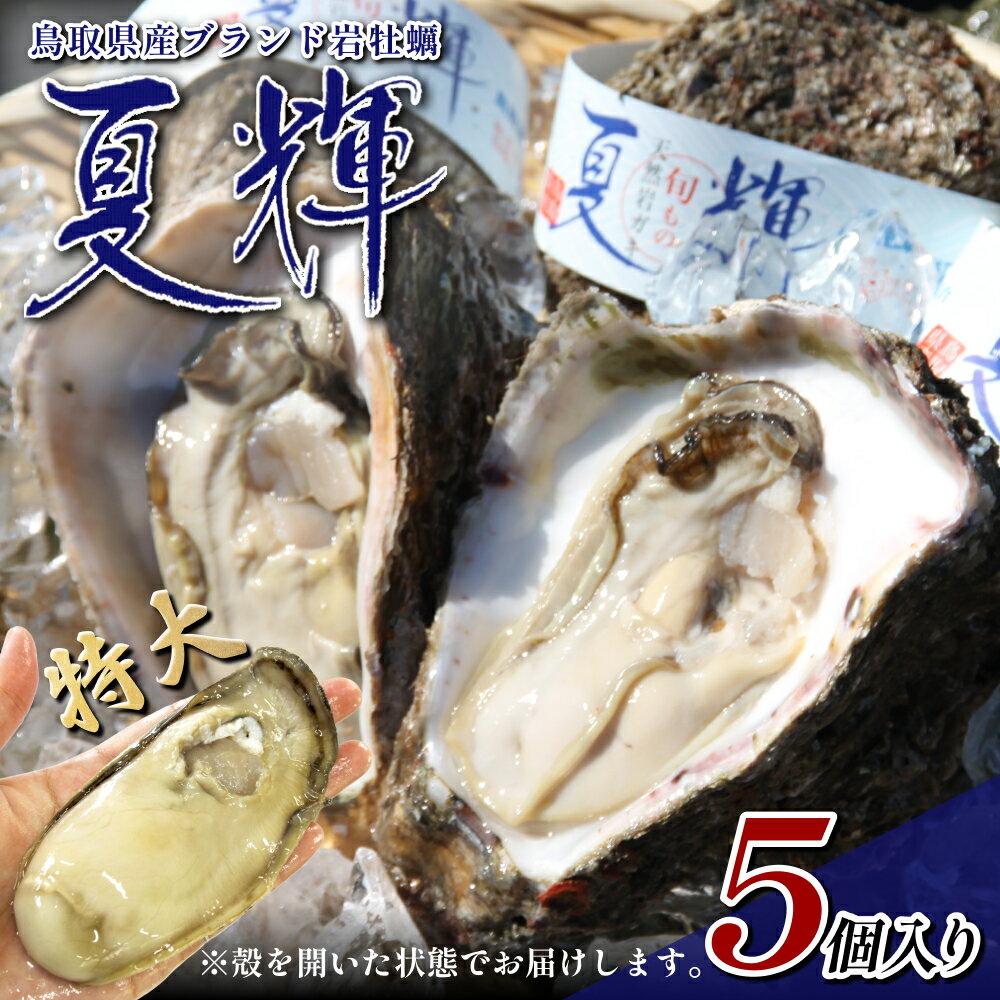【ふるさと納税】夏輝（岩ガキ）｜鳥取県 岩美町 岩ガキ 岩牡蠣 牡蠣 ブランド牡蠣 新鮮 海鮮 天然 かき セット 冷蔵 旬【21004】