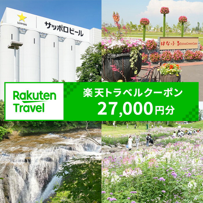 【ふるさと納税】北海道恵庭市の対象施設で使える 楽天トラベルクーポン 寄付額90,000円(クーポン27,000円)　【970013】