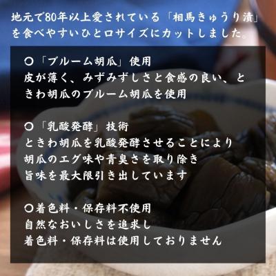 ふるさと納税 南相馬市 相馬ひと口きゅうり漬 1,050g (105g×10袋)【53852-001】 |  | 01