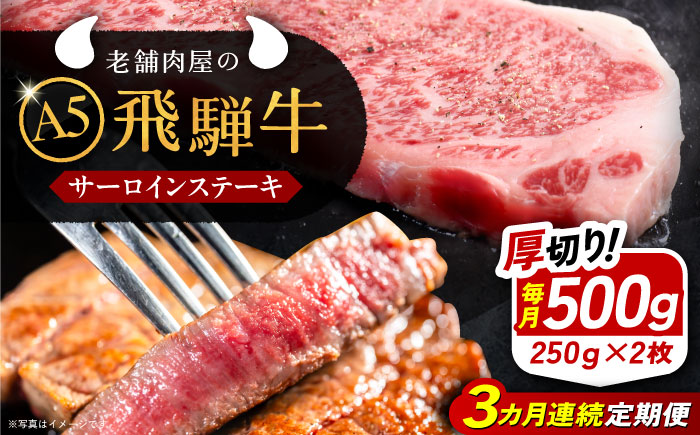 【3回定期便】 飛騨牛 サーロインステーキ (A5ランク) 1パック (250g×2枚) 和牛 国産 霜降り 恵那市 / 岩島屋 [AUAJ027]