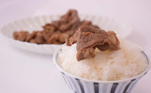 旨味ラムジンギスカン ねぎ塩 炭火風 600g（300g×2袋） ねぎ塩 炭火風 ラム ラム肉 ジンギスカン 焼肉 BBQ 肉 羊 北海道 ご当地 焼くだけ あいちょう F4F-8514