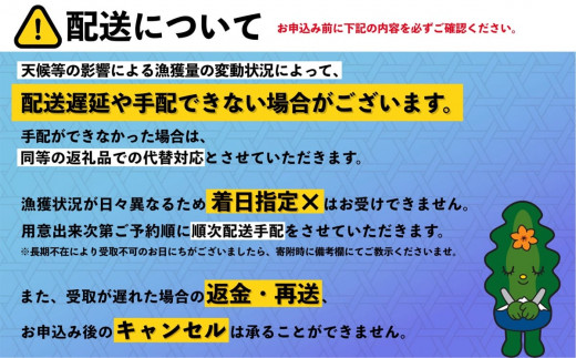 利尻島産 塩水 生うに むらさきうに90g×1■2025年6月より順次出■ 先行受付 ウニ 利尻 