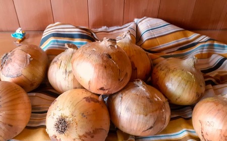 完熟玉ねぎ　中生3ｋｇ　◆配送6月上旬～