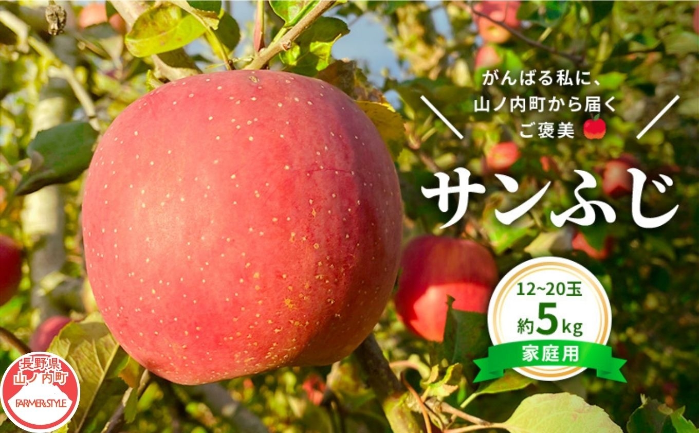 
                  【2026年12月発送】今日を癒すひと玉 私のサンふじ　サンふじ　家庭用　5kg りんご 果物
                