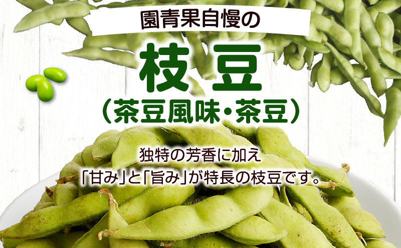 先行予約≪期間限定≫枝豆(茶豆風味・茶豆)計3kg 野菜 旬 国産_T003-0065