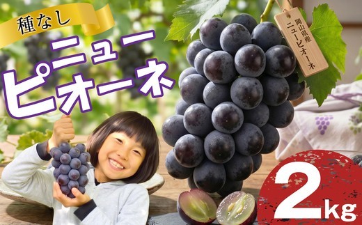 岡山県産 ニューピオーネ 2kg ぶどう フルーツ お中元 ギフト 御祝 御礼 贈答用 プレゼント 敬老の日 高級 フルーツギフト 産地直送 送料無料