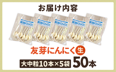 友芽にんにく 予約受付 生 50本 にんにく ガーリック ニンニク 国産 スプラウト 発芽 おつまみ 料理 栄養豊富 丸ごと 臭い におい ニオイ 福岡県 福岡 九州 グルメ お取り寄せ メール便（ポ