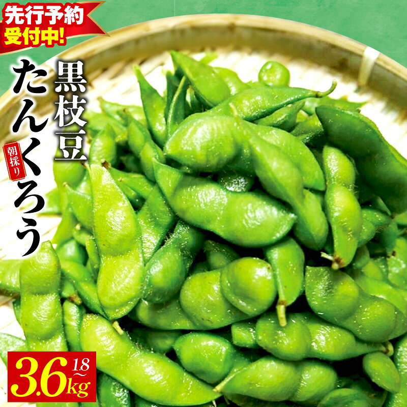 【ふるさと納税】【先行予約】 朝採り直送 黒枝豆 たんくろう 選べる 1.8kg / 3.6kg こだわり 鮮度 早朝収穫 もぎたて 産地直送 新鮮 枝豆 塩ゆで 簡単調理 おつまみ 晩酌 ホームパーティー 野菜 冷蔵 お取り寄せ 大阪府 泉佐野市 送料無料