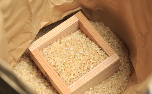 【令和7年産新米・早期受付】四万十清流の自然米　玄米5kg（コシヒカリ） 国産 新米 予約 こしひかり コシヒカリ 5kg 令和7年 2025年 自然米 玄米 げんまい 米 おこめ こめ ご飯 高知 