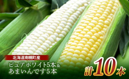 
            《先行受付》令和7年発送 北海道産 とうもろこし 食べ比べ ピュアホワイト5本＆あまいんです5本 朝採れ 一番果 産地直送 数量限定 期間限定 NP1-174
          