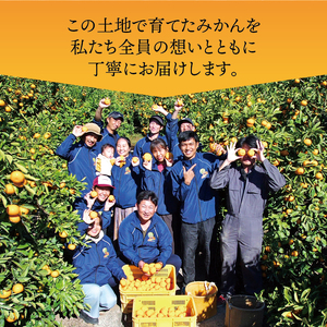 家庭用 こだわりの 有田みかん 6kg+250g（痛み補償分）12月発送 光センサー 選別 農家 直送 ※北海道・沖縄・離島への配送不可 / 温州みかん みかん 家庭用 完熟 柑橘 果物 和歌山 有田